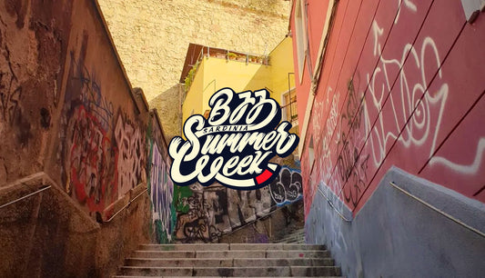 SummerWeek 2022 Journal
